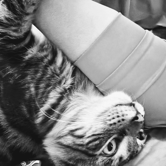 Meet your Posher, Holly - Picture 8 of 10